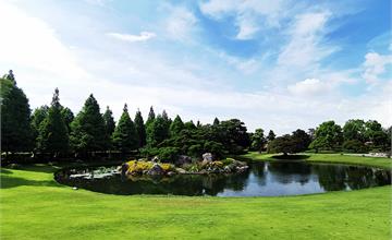 彰化｜成美文化園區 台版兼六園 浪漫落羽松大道