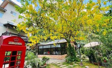 桃園大溪｜南法玫瑰園：森林裡隱藏玻璃屋餐廳！唯美城堡，黃澄澄阿勃勒滿開