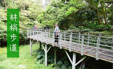 新北｜觀音山林梢步道：穿梭在樹林間的空中廊道，全長僅800公尺