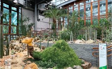 台北｜典藏植物園：城市綠洲與自然秘境都在這！免費室內景點讓你吹冷氣輕鬆玩～