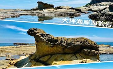 基隆八斗子｜大坪海岸驚見海豹！不易到達的攝影秘境，IG爆紅打卡點海豹岩現身～