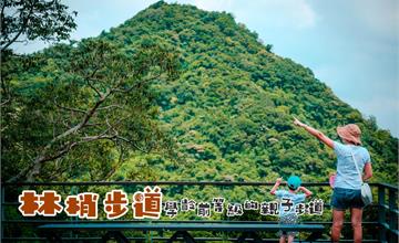 新北五股｜林梢步道：好走又好拍的親子步道！週末踏青好選擇