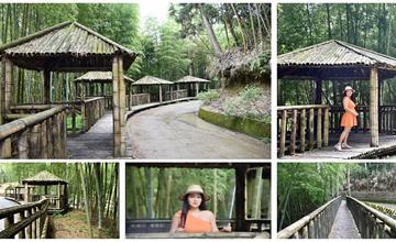 雲林古坑｜五元二角亭社區：秘境！犛寮園區、木馬古道，草嶺風景區內的幽靜日式風竹林！
