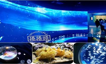 桃園XPARK首座海外水族館！「X Park」7大亮點整理，開幕日、訂票資訊、票價、營業時間、夜宿水族館！
