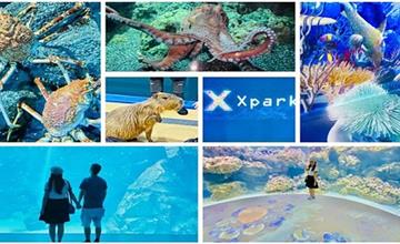 桃園｜全台最美水族館：Xpark！最新科技打造奇幻五感體驗，走進萬花筒般的療癒水母世界～