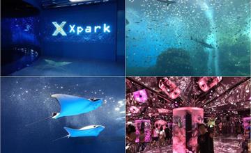 [桃園青埔] Xpark都會型水生公園 ｜ 13大展區，超療癒水母、企鵝、水豚，門票交通資訊整理！日本橫濱八景島水族館首間海外分館