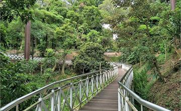 嘉義｜竹崎親水公園：花仙子步道、天空走廊，居高臨下好刺激！值得一遊的免費景點