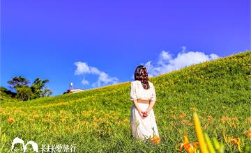 花蓮｜六十石山金針花季，浪漫金針花海x夜晚銀河秘境