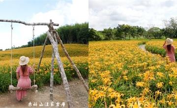 花蓮玉里｜2020赤科山金針花最新花況！汪家古厝：黃澄澄金針花海與古厝之美