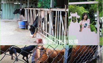 台南│柳營八老爺牧場 乳鄉走走拍拍與動物近距離接觸