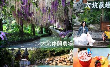 台南新化│大坑休閒農場 紫藤隧道、童話城堡、月亮鞦韆還有小動物，好拍好玩