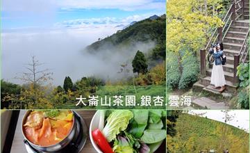 南投│大崙山茶園.銀杏.雲海共譜秋天的童話，來武岫農圃、銀杏森林赴一場秋天的約會吧