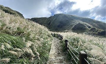 台北｜七星山：登北市第一高峰，欣賞浪漫的雪白芒海