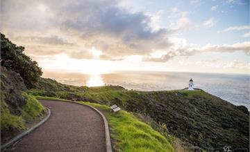 紐西蘭 | 北島北 Northland | 紐西蘭極北點 | 雷恩加角 Cape Reinga