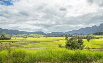 紐西蘭 | 北島北 Northland | Arai Te Uru Recreation Reserve