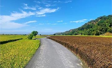 台中外埔|忘憂谷:徜徉在金黃色的稻田國度,享受季節限定的美好時光