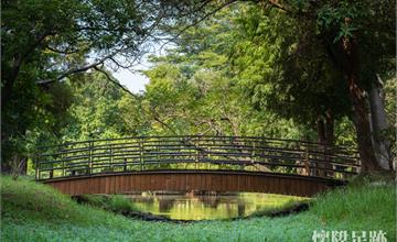 台南公園｜藏在城市中的美麗森林，從樹林走到湖泊，探索自然生態之美｜巴克禮紀念公園