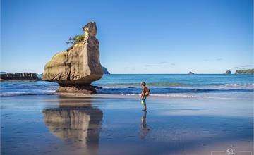 紐西蘭 | 科羅曼德爾半島 Coromandel Peninsula | 教堂灣 Cathedral Cove