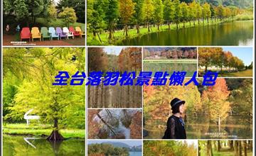 2020季節限定！精選全台落羽松19處景點懶人包