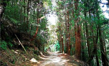 苗栗泰安｜東洗水山登山步道：雪見遊憩區，鐵腿健行步道