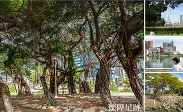 台南｜大涼生態公園，走訪中西區最美生態公園，沿著步道一路走到河樂廣場