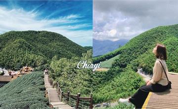 嘉義也有抹茶山！親民版二尖山步道，10分鐘攻頂欣賞山嵐美景