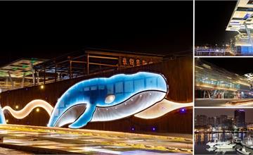 台南｜新安平鯨魚廣場「大魚星光牆」夜間限時點燈！到碼頭散步看安平港夜景