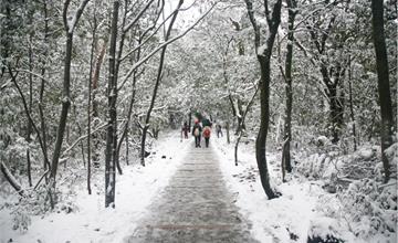 全台賞雪景點大蒐集｜寒流來襲準備出發囉！台灣各大賞雪景點推薦