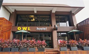 南投日月潭｜OWL Hostel 貓頭鷹旅店：時尚青旅膠囊房，適合各種族群入住！