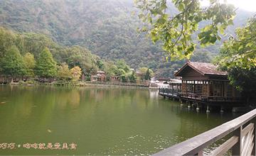 南投｜車埕木業展示館：特色鐵道風光＋湖畔山景，一次大滿足！