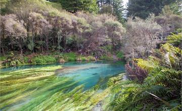 紐西蘭｜羅托魯瓦 Rotorua｜世外桃源中的神秘藍泉 Blue Spring