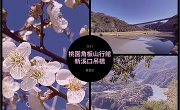 桃園復興鄉》遙知不是雪、為有暗香來～角板山行館梅花季