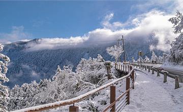 宜蘭｜太平山賞雪（見晴停車場－見晴懷古步道）