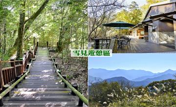 苗栗｜雪霸國家公園一日遊，享受林間步道與闊葉林帶森林景觀！