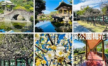 2021台北賞梅│雙溪公園梅花盛開│台北最佳賞梅盛地│古色古香江南庭園│絕美水中倒影(2021/1/21最新花況)
