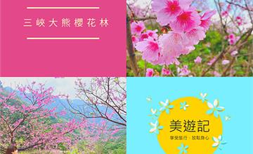 台北三峽｜讓生命像櫻花般燦爛綻放，北台灣賞櫻秘境之一：大熊櫻花林！