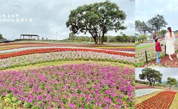 台版富良野花海！北投社三層崎公園花海，浪漫彩虹花毯恍如置身日本！