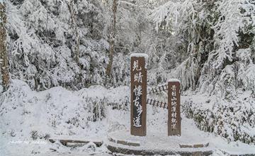 210110宜蘭：太平山見晴懷古步道賞雪
