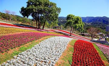 台北│北投社三層崎公園，台版富良野彩虹花毯，偽出國一秒到北海道