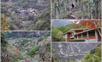 2021年綠水文山步道(二)！幽靜山林、舊部落遺跡、紅葉漫漫、稜線陡升，冬季撿山頭，林相至美