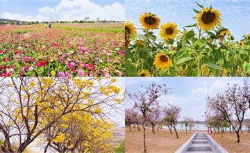台南｜乍暖還寒、春暖花開正是賞花好時節！前進台南科學園區的賞花秘境，網紅必拍的秘密花園