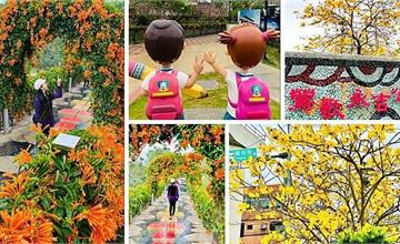 新北｜鶯歌永吉公園：最夯賞花點，想看什麼花這裡都有！全台唯一炮仗花3D彩繪隧道（2021/3/7最新花況）
