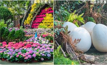 苗栗｜花露休閒農場：繡球花季登場！精油城堡、夢幻小花屋和隱藏版恐龍蛋都超好拍