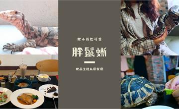蛇、蜥蜴、烏龜陪吃飯！爬蟲主題私廚胖鬣蜥，讓你發現爬小孩的可愛！