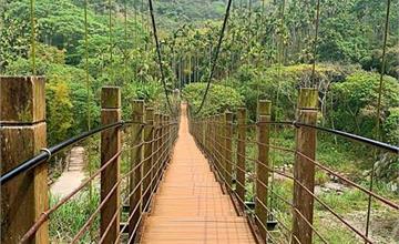 雲林古坑半日遊小旅行！漫遊華山11號步道，品嚐在地小吃