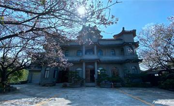 台北陽明山｜東方寺賞櫻！櫻花現正美，粉嫩一片超吸睛