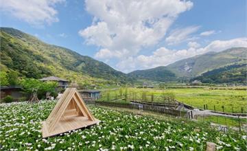 台北陽明山│名陽匍休閒農莊，2021海芋季打卡熱點，海芋鞦韆+小木屋。來去陽明山採海芋！