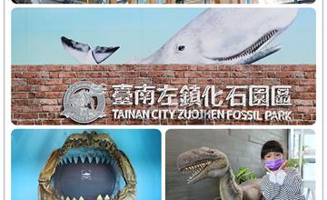 台南｜左鎮化石園區：3D互動影音、恐龍化石展示，超好拍梅花鹿大廳