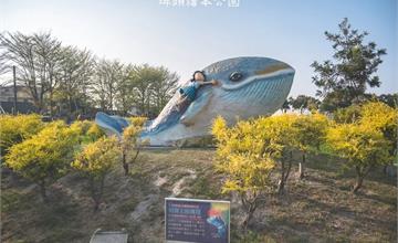 雲林│埤頭繪本公園，西瓜田、大鯨魚…，充滿農村景色的立體繪本主題公園