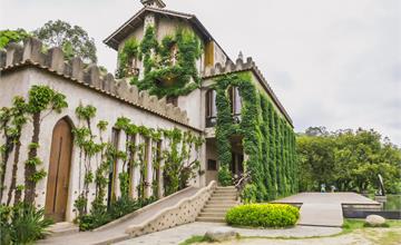 苗栗大湖｜天空之城：綠色藤蔓環繞的城堡景觀餐廳，鳥VS.人的森林蔬食套餐